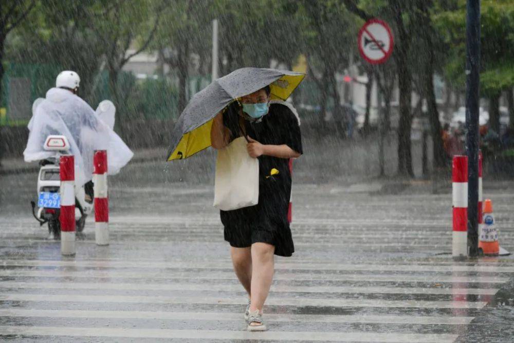 温州多地暴雨，要防止城市内涝，排水系统又该如何“未雨绸缪”呢